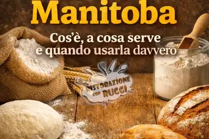 Cos'è la Farina Manitoba 51 La farina Manitoba è usata per lunghe lievitazioni perché essendo ricca di glutine (una W superiore ai 350) rende l'impasto finale più elastico e forte.