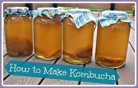 KOMBUCHA - ELISIR DI LUNGA VITA