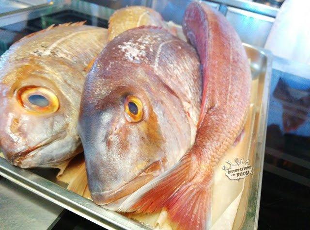Pezzogna all'acqua pazza su crostino di pane