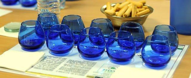 Come degustare un olio: guida passo passo