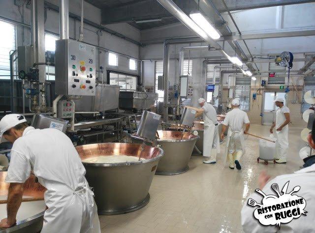 Come si fa il Parmigiano Reggiano? Visita in azienda