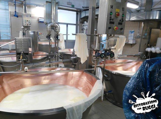 Come si fa il Parmigiano Reggiano? Visita in azienda