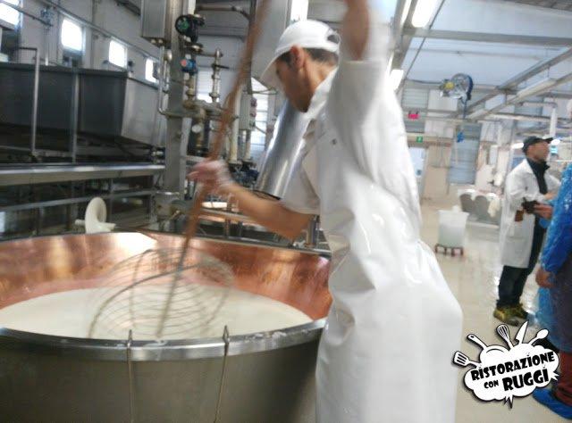 Come si fa il Parmigiano Reggiano? Visita in azienda