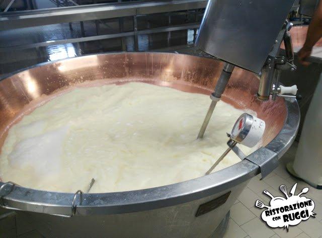 Come si fa il Parmigiano Reggiano? Visita in azienda