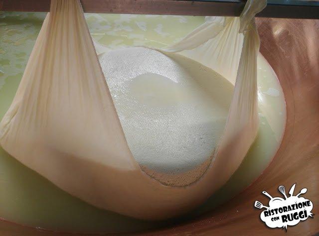 Come si fa il Parmigiano Reggiano? Visita in azienda