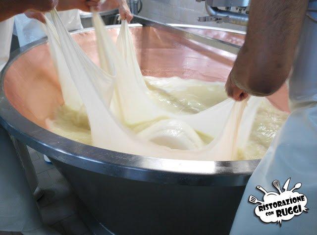 Come si fa il Parmigiano Reggiano? Visita in azienda