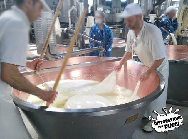 Come si fa il Parmigiano Reggiano? Visita in azienda