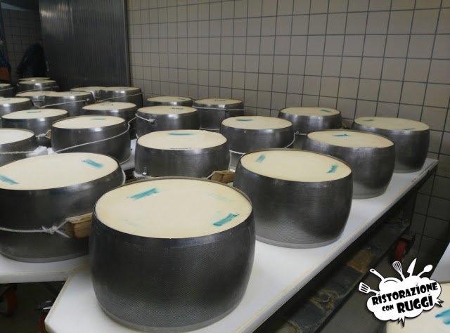 Come si fa il Parmigiano Reggiano? Visita in azienda
