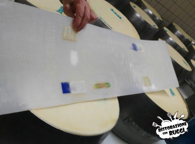 Come si fa il Parmigiano Reggiano? Visita in azienda