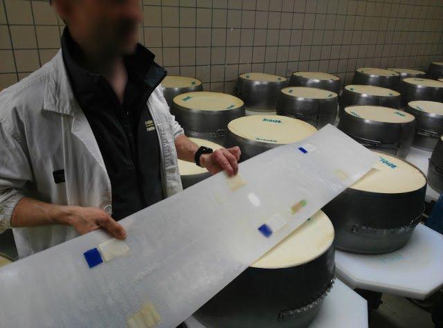 Come si fa il Parmigiano Reggiano? Visita in azienda