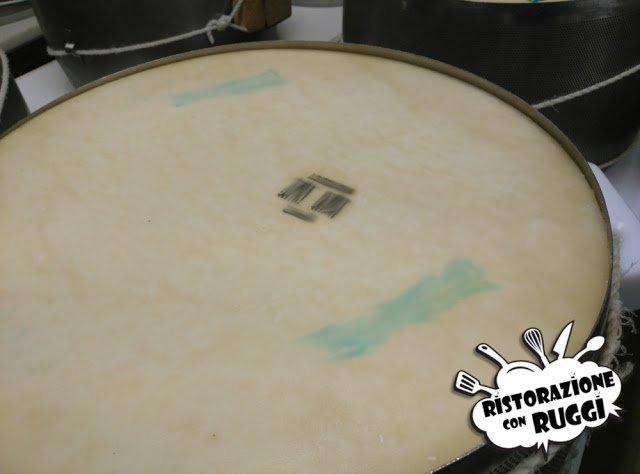 Come si fa il Parmigiano Reggiano? Visita in azienda
