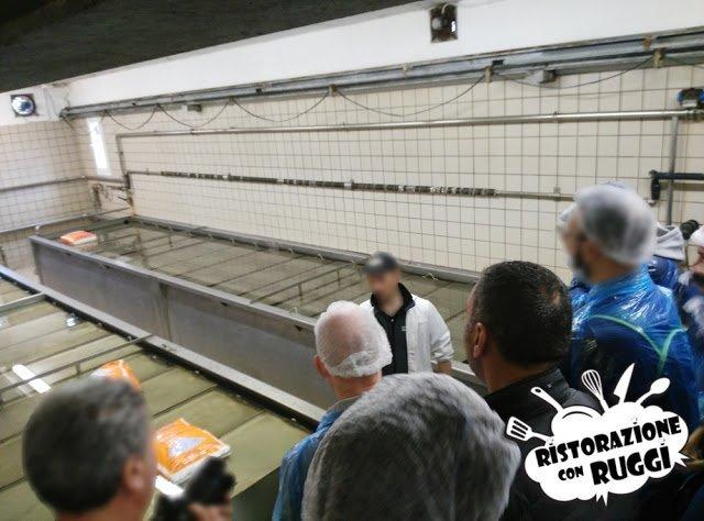 Come si fa il Parmigiano Reggiano? Visita in azienda