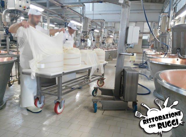 Come si fa il Parmigiano Reggiano? Visita in azienda