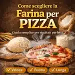 Come scegliere la farina per pizza in casa - GUIDA SEMPLICE 2 Come scegliere la farina per pizza in casa - GUIDA SEMPLICE