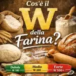 Cos’è il W della farina e come si sceglie la farina giusta? 2 guida alla scelta delle farine perchè w a che serva
